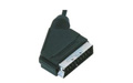 Scart