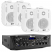 SET-PA AUDIO 117 POWER DYNAMICS Ωμικό Σετ ενισχυτή 2 Ζωνών PV220BT 2x 50 Watt και 4x Ηχεία τοίχου BGO30 W