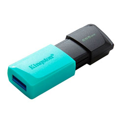 KINGSTON DTXM/256GB DataTraveler Exodia M USB 3.2 Stick 256GB 